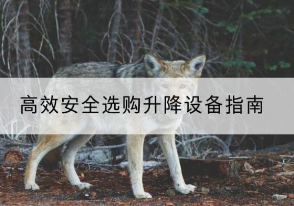 汉滨升降货梯厂家推荐-*安全选购升降设备指南
