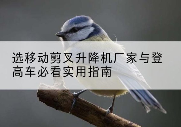 汉滨电动升降机厂家-选移动剪叉升降机厂家与登高车必看实用指南