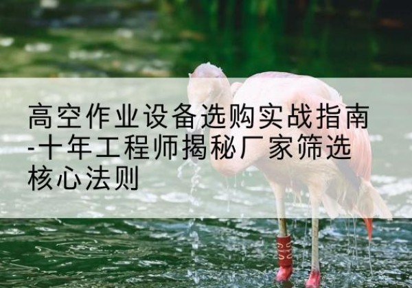 汉滨剪叉式升降机厂家-高空作业设备选购实战指南-十年工程师揭秘厂家筛选核心法则